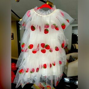 Never worn Lola & The Boys layered tulle strawberry dress!